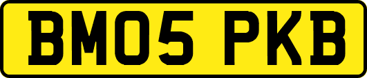 BM05PKB