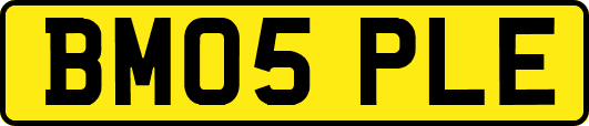 BM05PLE
