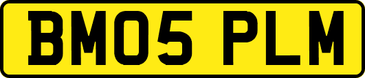 BM05PLM
