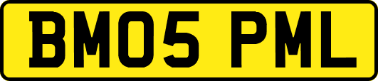 BM05PML