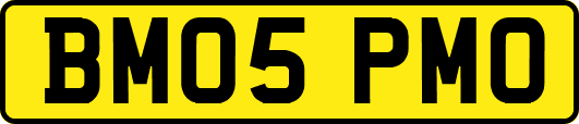BM05PMO