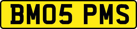 BM05PMS