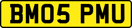 BM05PMU