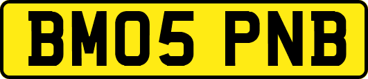 BM05PNB