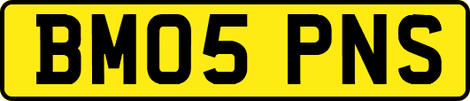BM05PNS