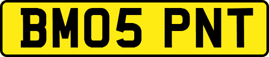 BM05PNT