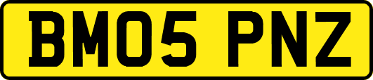 BM05PNZ