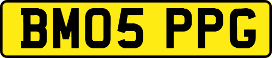 BM05PPG