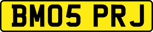 BM05PRJ