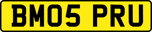 BM05PRU