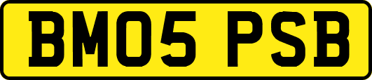 BM05PSB