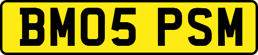 BM05PSM