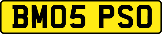 BM05PSO
