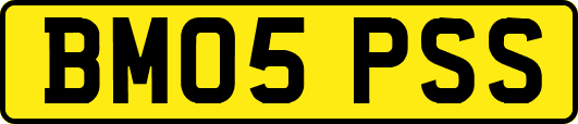 BM05PSS