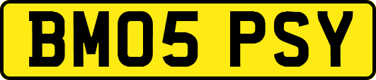 BM05PSY