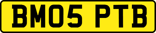 BM05PTB