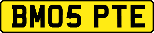 BM05PTE