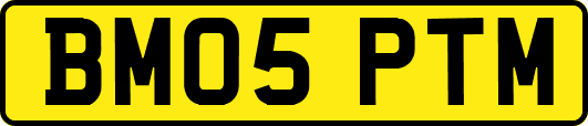 BM05PTM