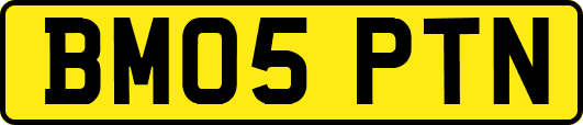 BM05PTN