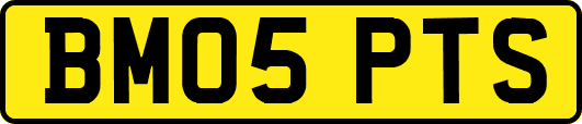 BM05PTS