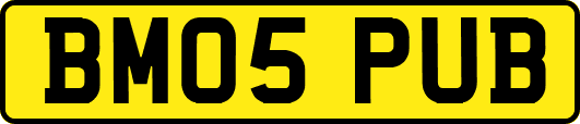 BM05PUB