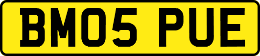 BM05PUE