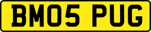 BM05PUG
