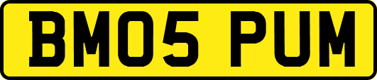 BM05PUM
