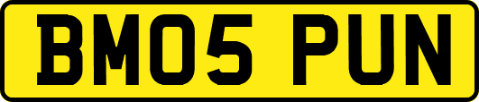 BM05PUN
