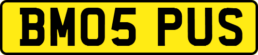 BM05PUS