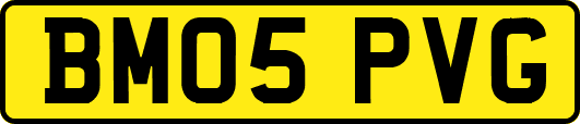BM05PVG