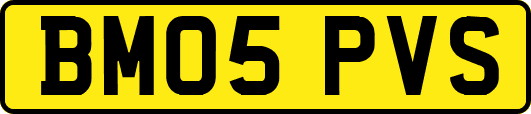 BM05PVS