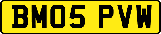 BM05PVW