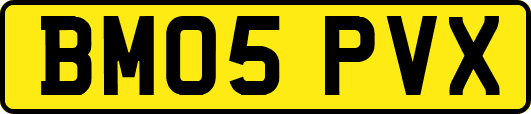 BM05PVX