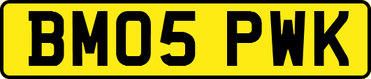BM05PWK
