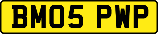 BM05PWP