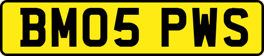 BM05PWS