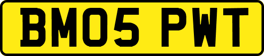 BM05PWT