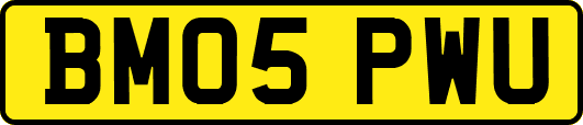 BM05PWU