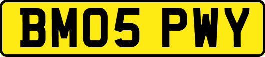 BM05PWY