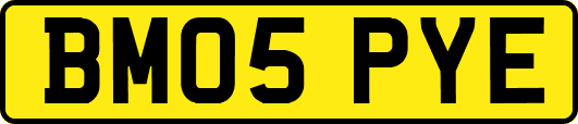 BM05PYE