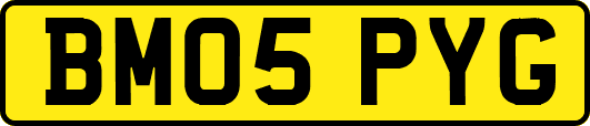 BM05PYG