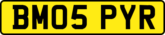 BM05PYR