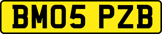 BM05PZB