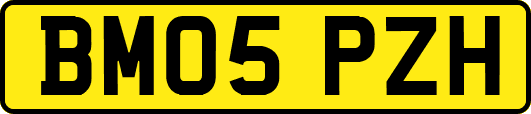 BM05PZH