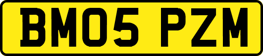 BM05PZM