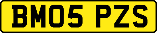 BM05PZS