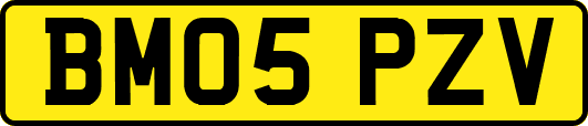 BM05PZV