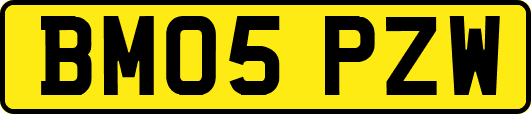 BM05PZW