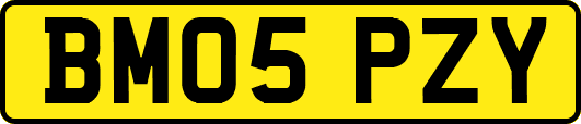 BM05PZY